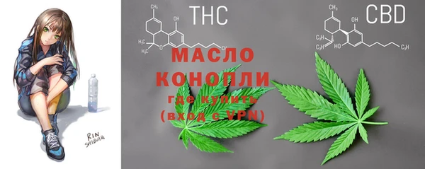 тгк Гусиноозёрск