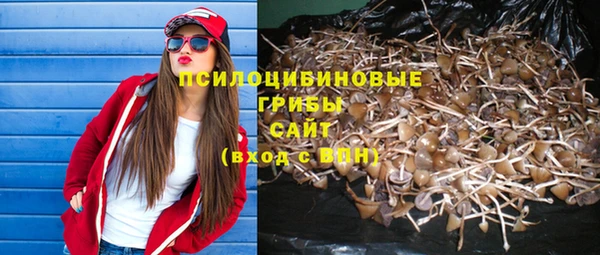 амфетамин Горнозаводск