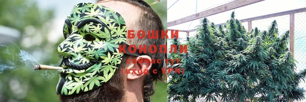 экстази Гусь-Хрустальный