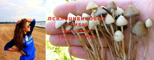 амфетамин Горнозаводск