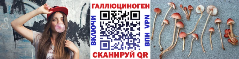 Галлюциногенные грибы GOLDEN TEACHER  купить закладку  Невинномысск 
